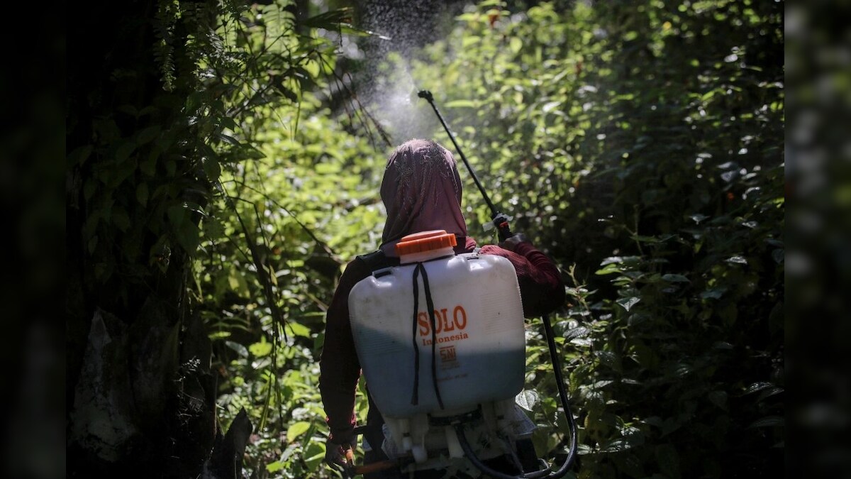 'He Put an Axe to My Throat': Palm Oil Fields Linked to Top Beauty Brands See Women Raped, Abused