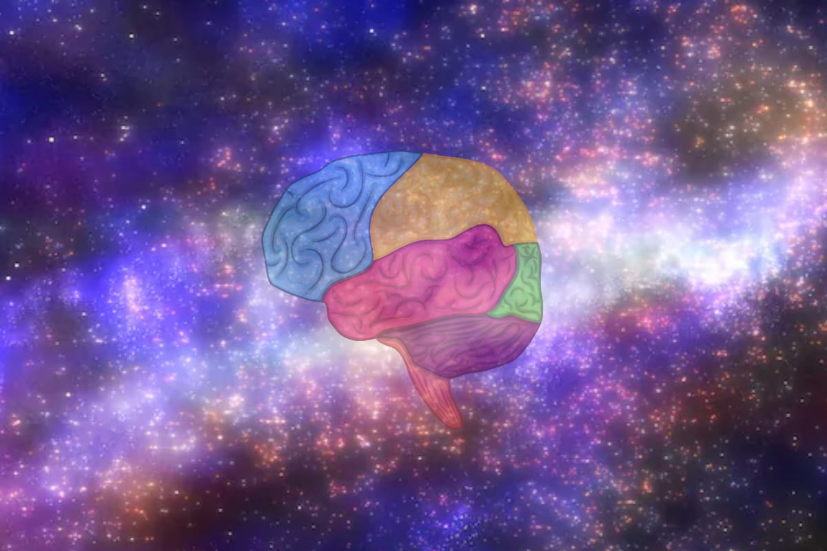Similarities Between Complex Network Of Brain And The Universe Are Much