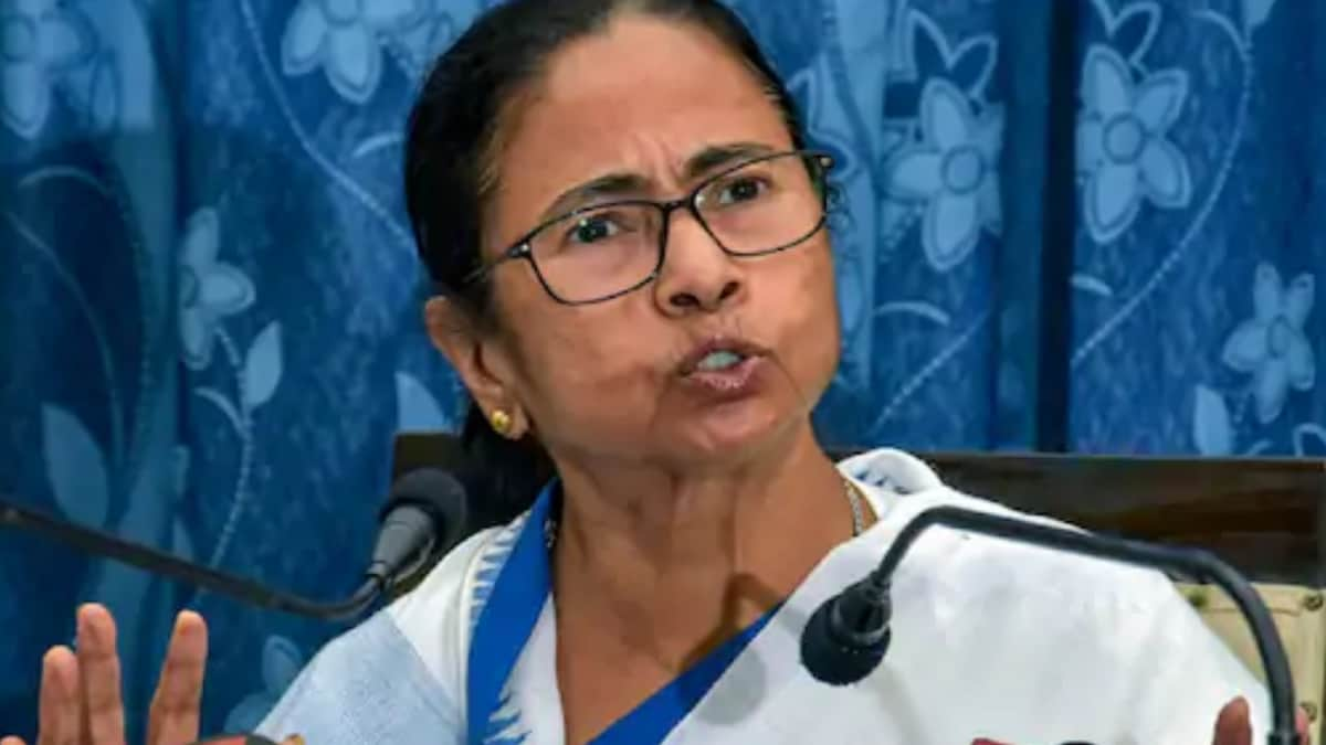 New Farm Laws Led to Blackmarketing of Potato, Onion, Have Written to PM: Mamata