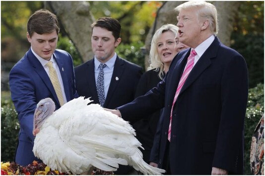 Donald Trump with the turkey he pardoned as part of the US Thanksgiving tradition in 2017 | Image credit: Reuters