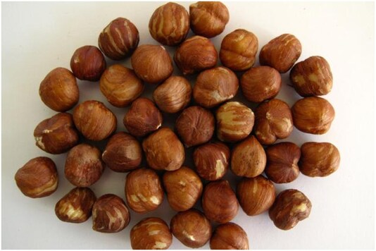 A 7,000 -year-old chestnut shell is revealing new details about humans in the Stone Age | Image for representation | Credit: Reuters