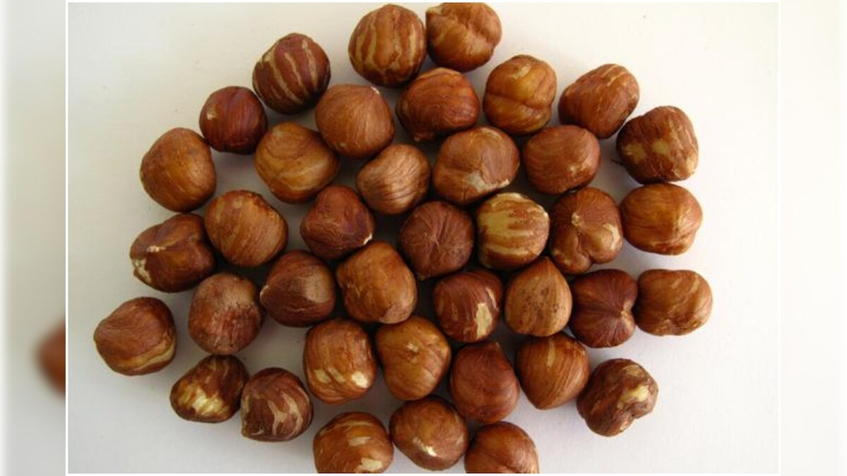 7,000-Year-Old Charred Hazelnut Shell Found in Ancient Stone Age ...