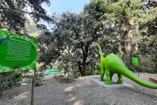 India's first moss garden.
(Credit: Twitter)