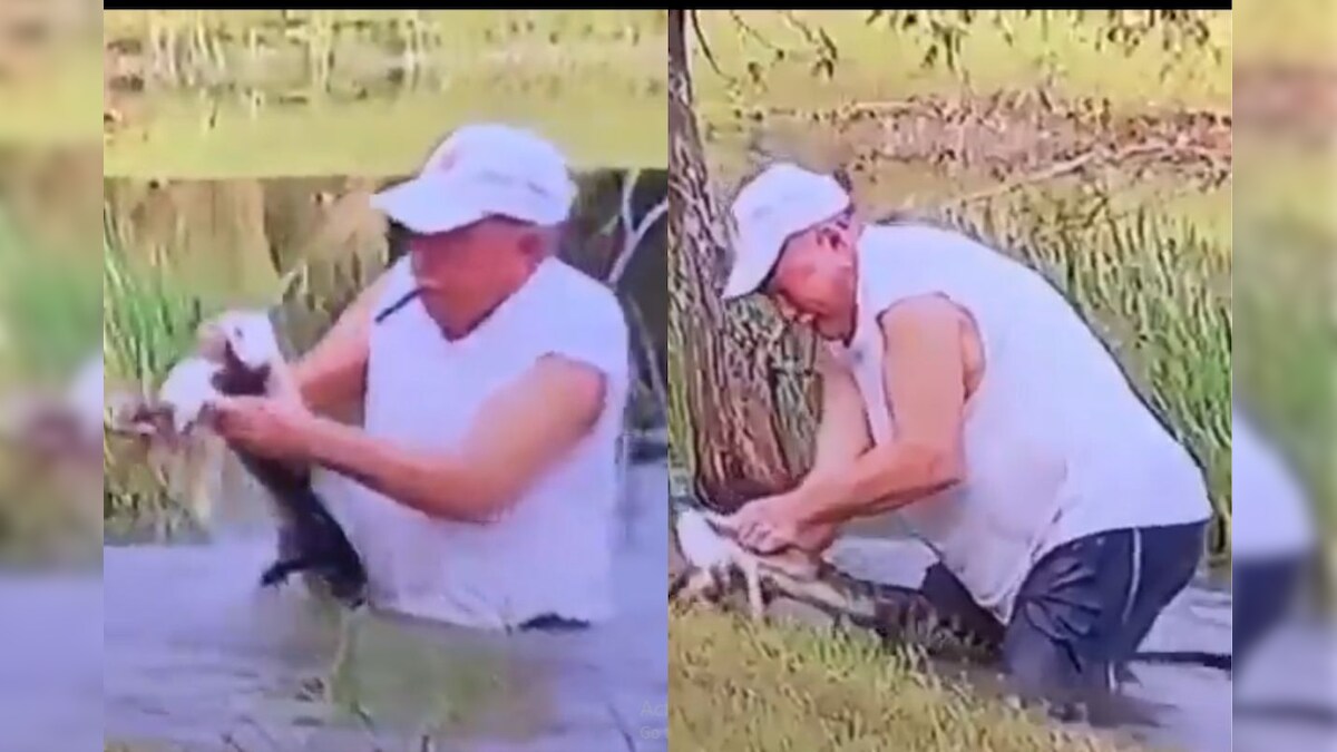 Watch Florida Man Rushes in to Save Pet, Pries Open Baby Alligator's