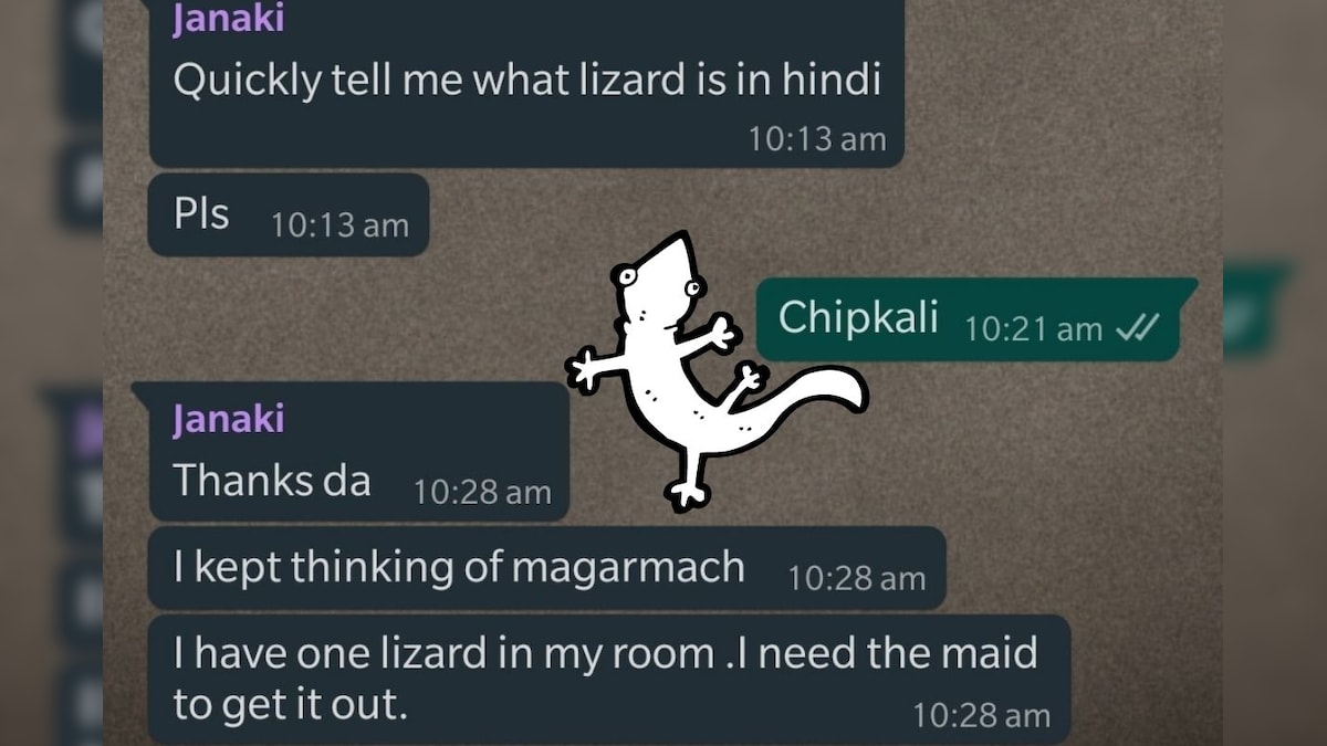 Magarmach or Chipkali? This South Indian Woman Struggling to Recall Hindi Word for Lizard Shows the Struggle is Real