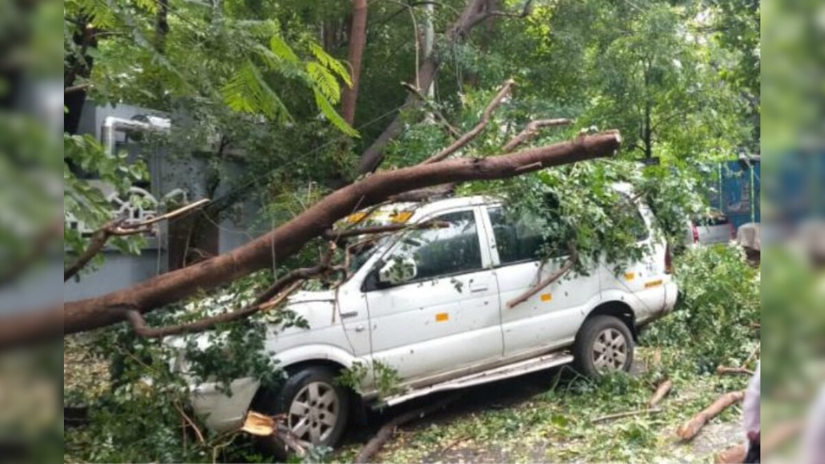 Cyclone Nivar: 5 Killed, Over 1,000 Trees Uprooted and Power Lines Snapped in Tamil Nadu