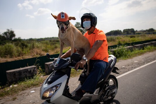 Motorcycle enthusiast Gilbert Delos Reyes rides with his pet dog Bogie, in Kawit, Cavite, Philippines, November 26, 2020. Picture taken November 26, 2020. REUTERS/Eloisa Lopez