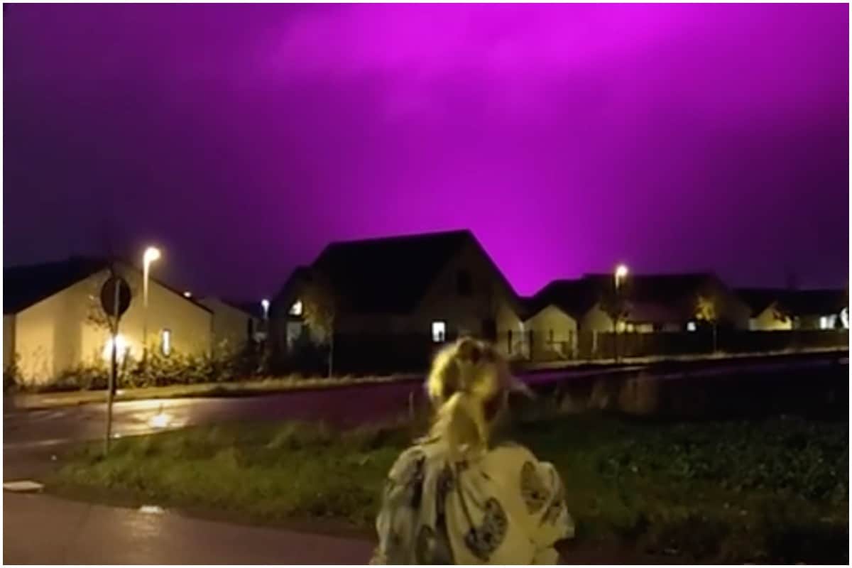 Strange Purple Skies Seen at Swedish Town after Local Tomato Farm Installs New Lights