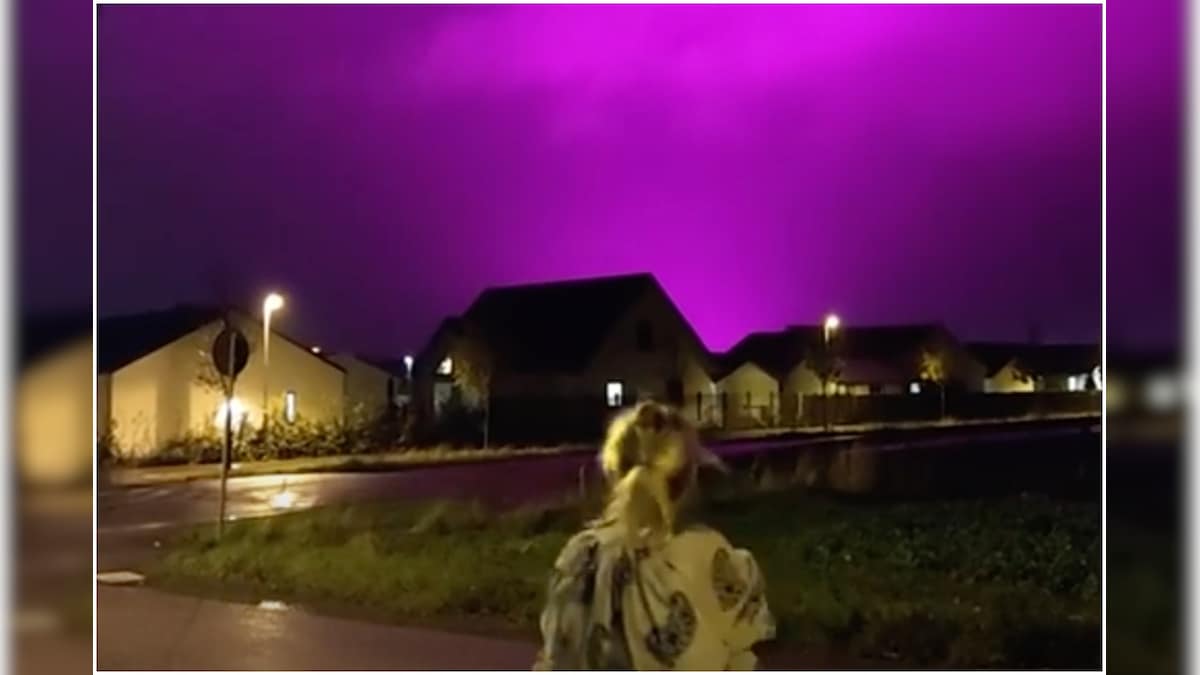 Strange Purple Skies Seen at Swedish Town after Local Tomato Farm Installs New Lights