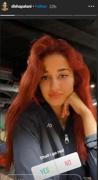 Red or Brown? Disha Patani Asks Fans Which Hair Colour Suits Her Red or Brown? Disha Patani Asks Fans Which Hair Colour Suits Her