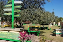 Chandigarh to Mark Guru Nanak Jayanti by Inaugurating 'Museum of Trees' in City