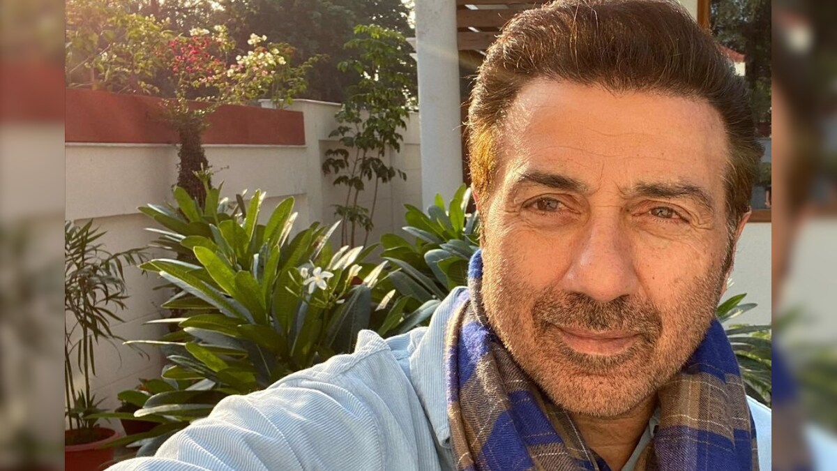 'I Stand with Chaddha and Damini': Sunny Deol Trolled for 'Diplomatic' Comment on Farmer Protest