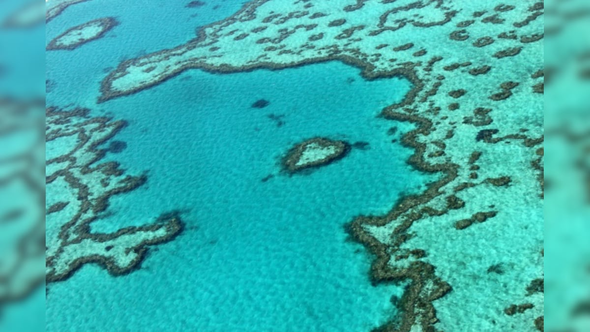 Intervention 'Could Buy 20 Years' for Declining Great Barrier Reef