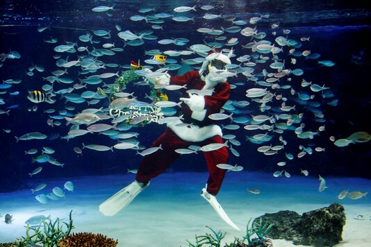 A diver wearing Santa Claus costume swims in a large fish tank during an underwater performance for the Christmas celebration, amid the coronavirus disease (COVID-19) outbreak, at Sunshine Aquarium in Tokyo, Japan, December 4, 2020. 

REUTERS/Kim Kyung-Hoon