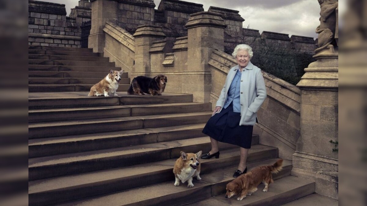 Queen Elizabeth Left With Just One Pet Dog After the Death of Her Beloved Dorgi, Vulcan