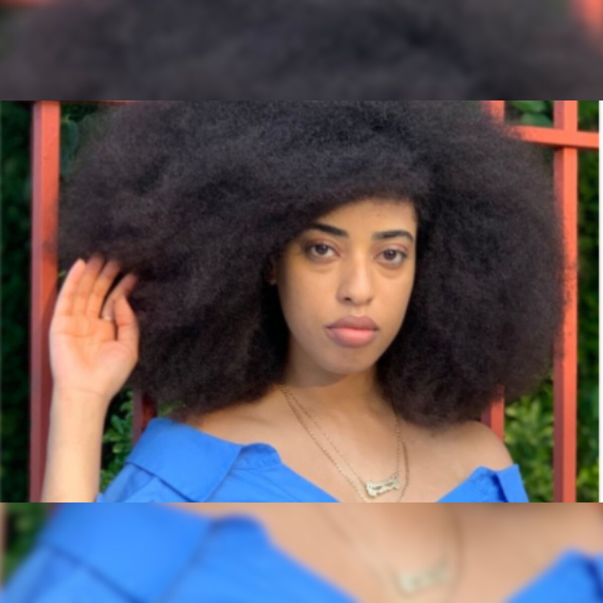 This Woman from New York Has Broken the Guinness Record for Having the  Largest Afro