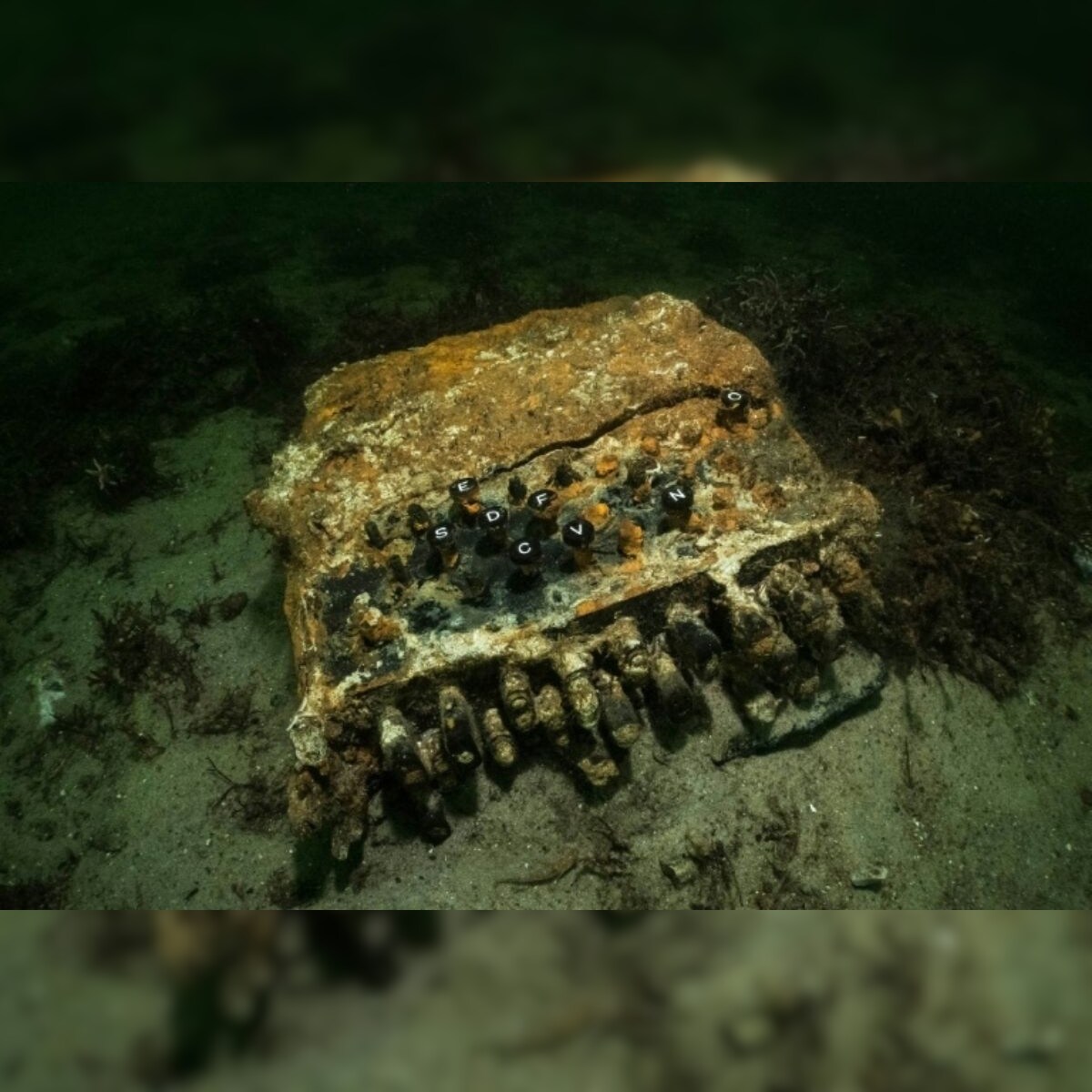German Divers Find Enigma Code Machine Used By Nazi Leaders During World War Ii In Baltic Sea