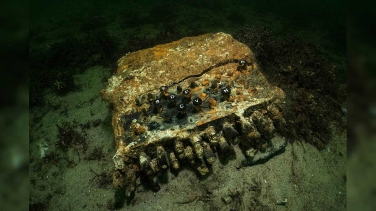German Divers Find Enigma Code Machine Used By Nazi Leaders During World War Ii In Baltic Sea