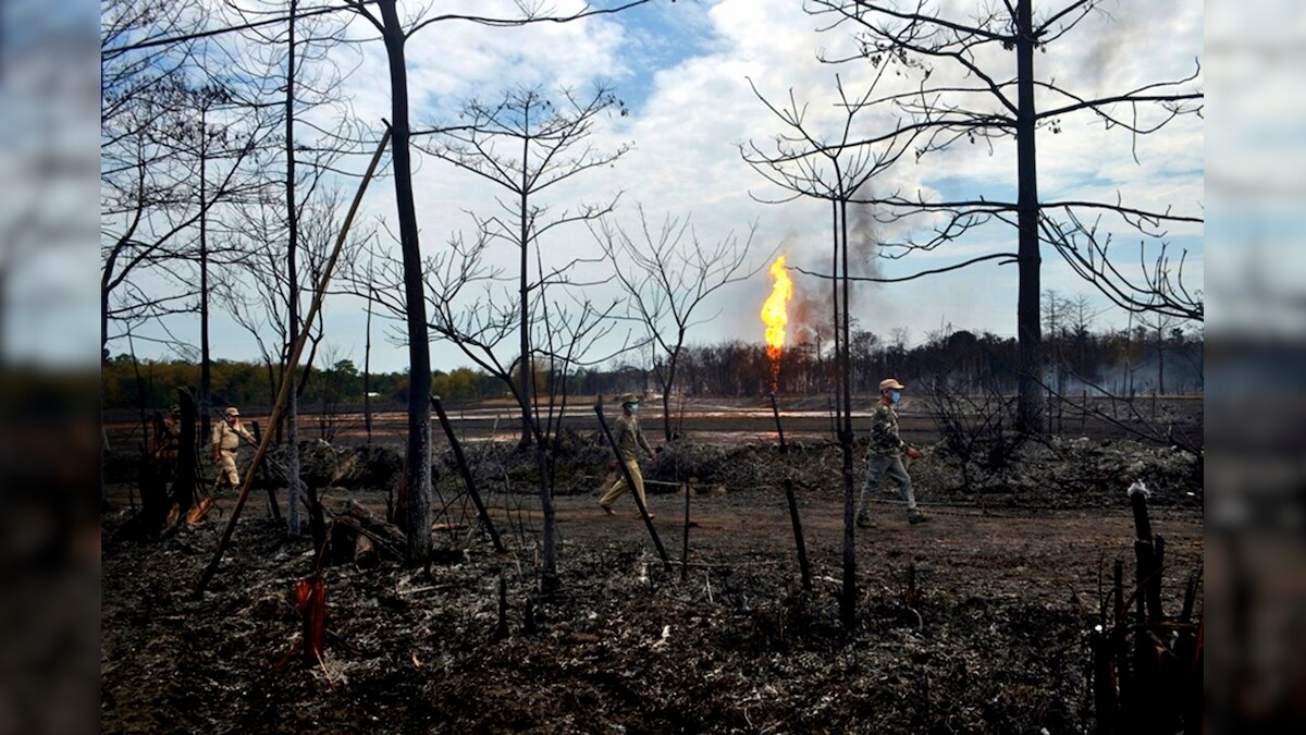 Gauhati HC Stays Centre's Permission to OIL to Drill Wells Inside Dibru-Saikhowa National Park