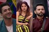 Bigg Boss 14: Aly Goni, Rahul Vaidya and Nikki Tamboli to Re-enter the House?