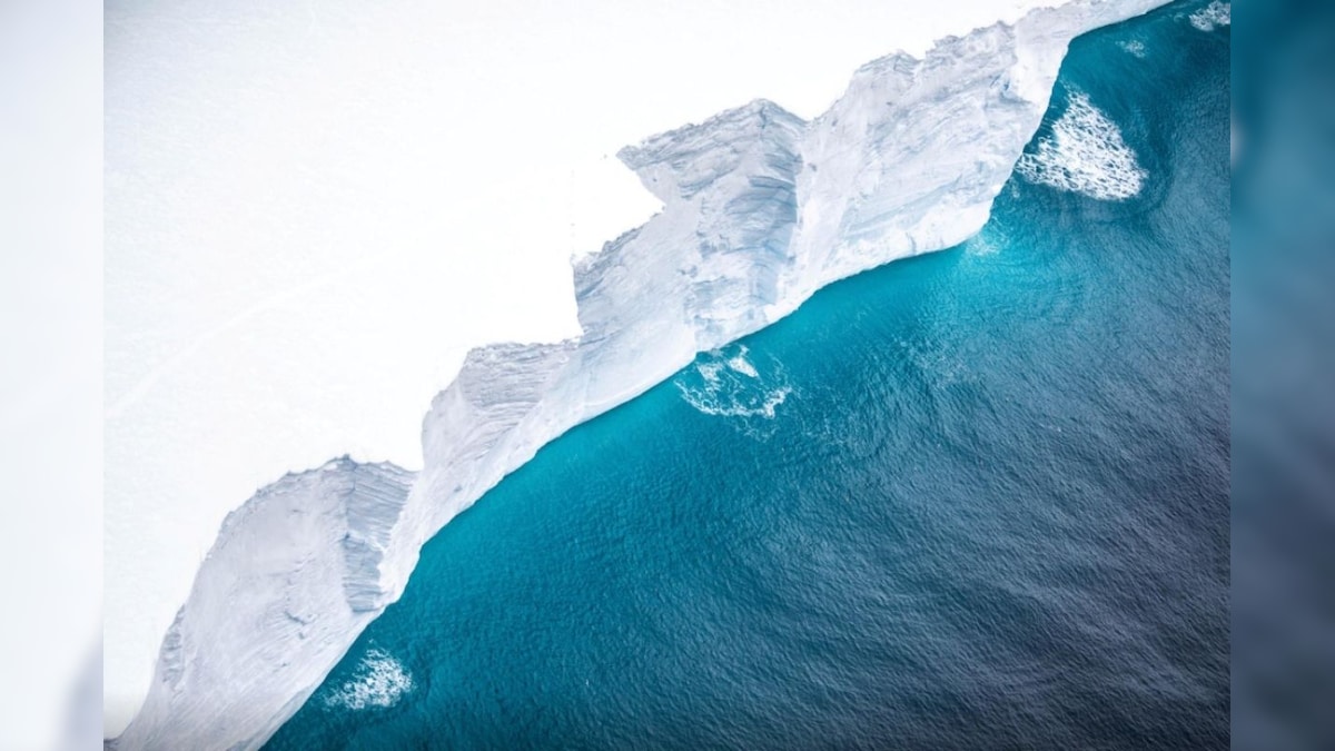 Giant Iceberg is Headed for Collision with South Atlantic Penguin Colony Island, Could Crush Marine Life