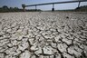 Nearly Half of Droughts in India May Have Been Influenced by North Atlantic Air Currents, Finds Study