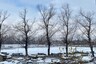 'Treat to the Eyes': Srinagar Turns White After Season's First Snowfall Lashes Kashmir Valley