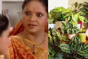 These Viral Videos During the Lockdown Made the Year 2020 More Fun than Ever