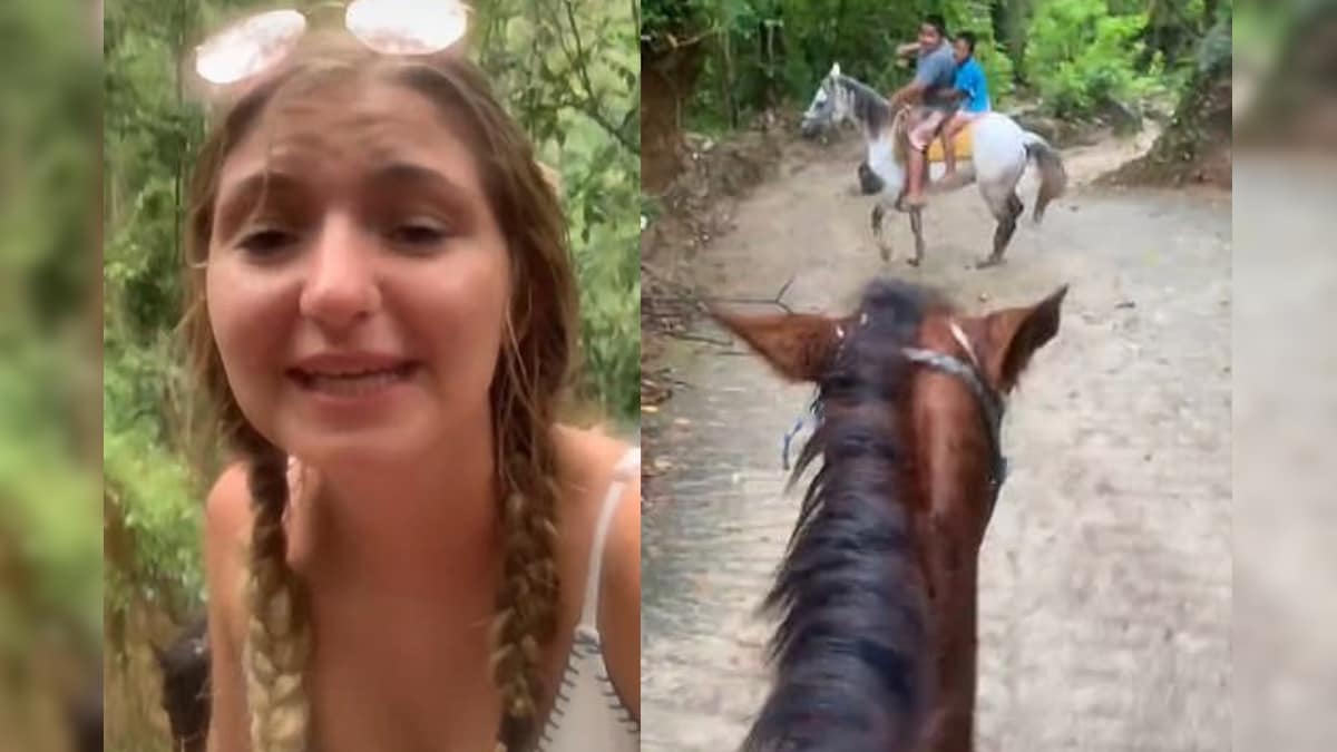 American Tourist Gets Lost in Mexican Jungle, Horse Helps Guide Her Back