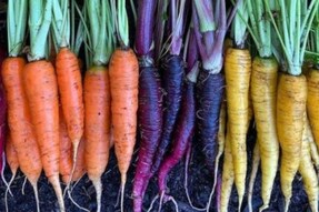 5 Health Benefits of Eating More Carrots