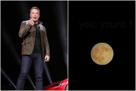 Elon Musk says 'you're the star' | Image credit: Twitter