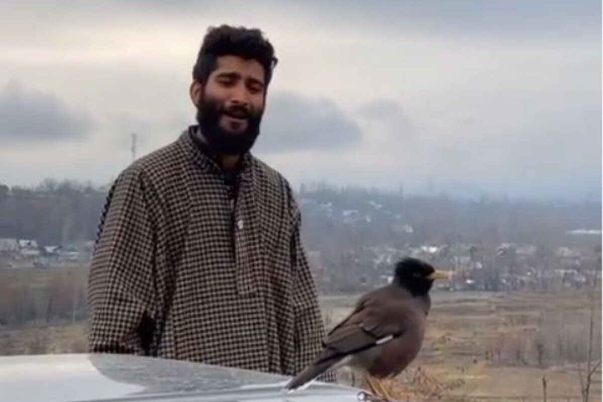 Watch: Kashmiri Man Sings to a Bird Sitting on a Car, Wins Hearts on Internet