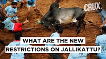 With COVID-19 Protocol in Place, Tamil Nadu Govt Permits Jallikattu