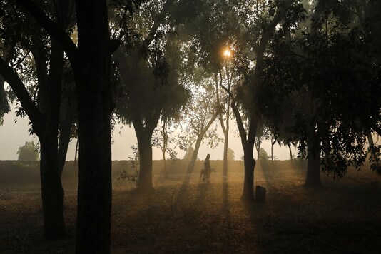A person walks a dog in a garden on a smoggy morning in New Delhi. (Reuters)