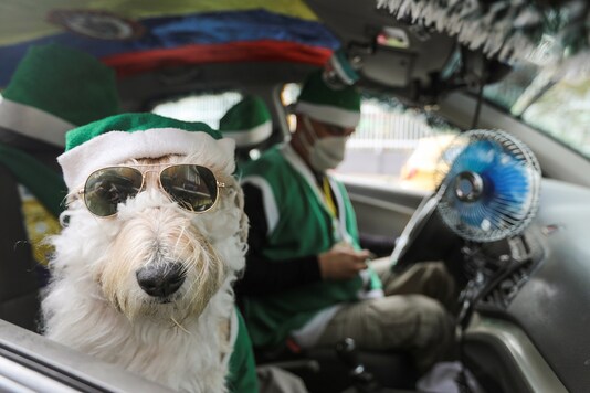 Nicolas Walteros, 52, sits inside a taxi with his dog Colonel using Santa's hats, amid the spread of the coronavirus disease (COVID-19) pandemic, in Bogota, Colombia. 

REUTERS/Luisa Gonzalez