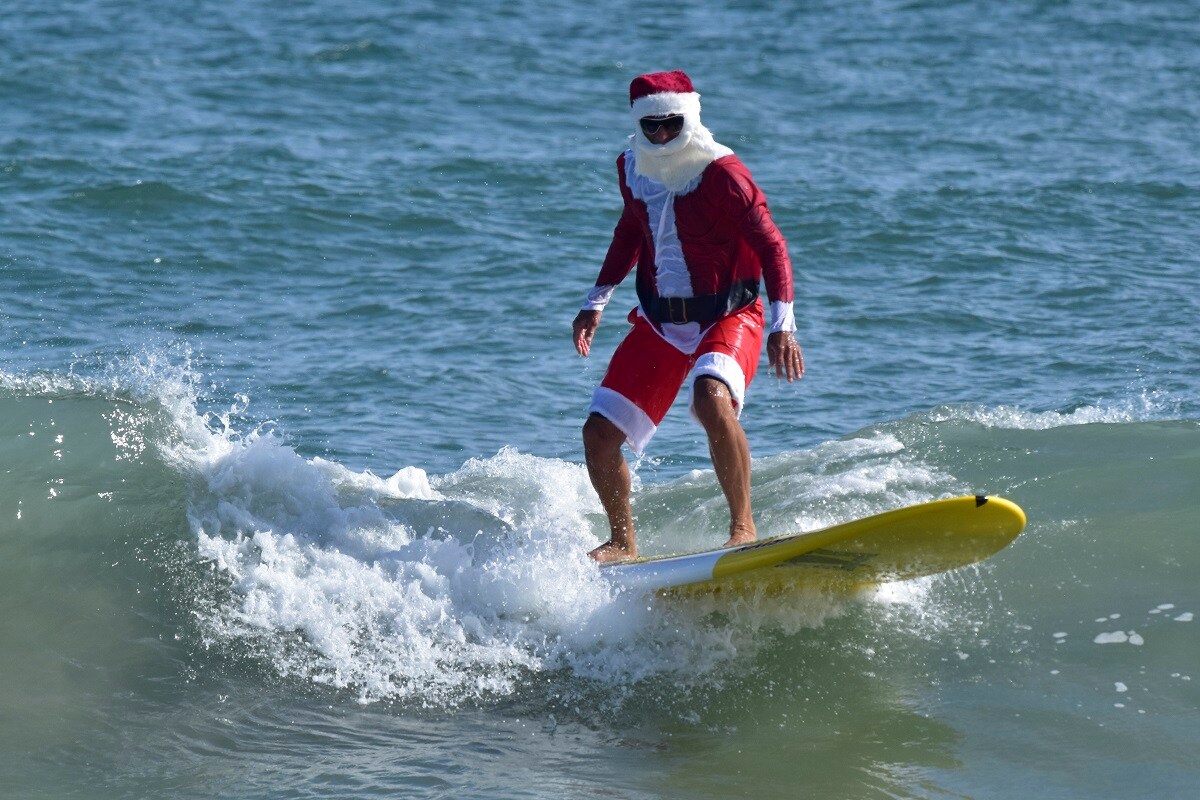 Chilly Forecast, Virtually Planned Surfing Santa Day and Falling Iguanas Ring in Christmas Cheer in Florida