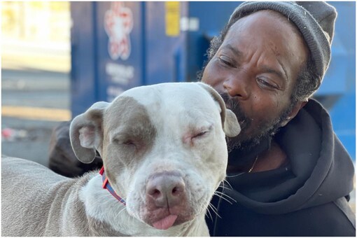 Christmas Miracle: Homeless Man Risks Own Life to Save Dogs Trapped in  Burning Animal Shelter in US