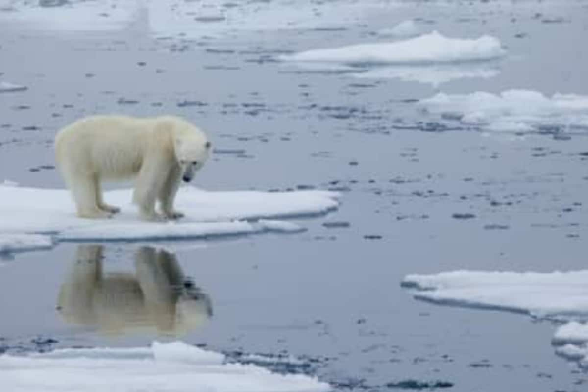 Climate explained: why is the Arctic warming faster than other parts of the  world? - International Science Council