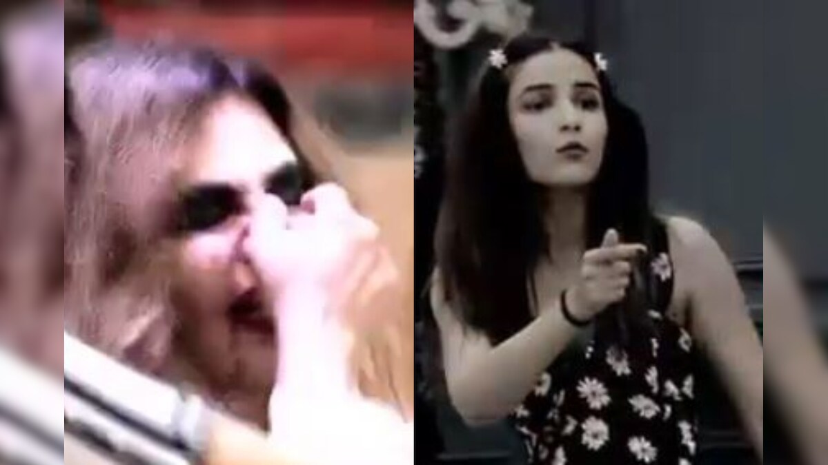 Bigg Boss 14: Jasmin Bhasin Breaks Rakhi Sawant's Nose During an Argument?