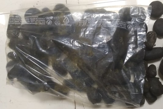 Charas seized during raids by NCB, Mumbai. Charas seized during raids by NCB, Mumbai.
