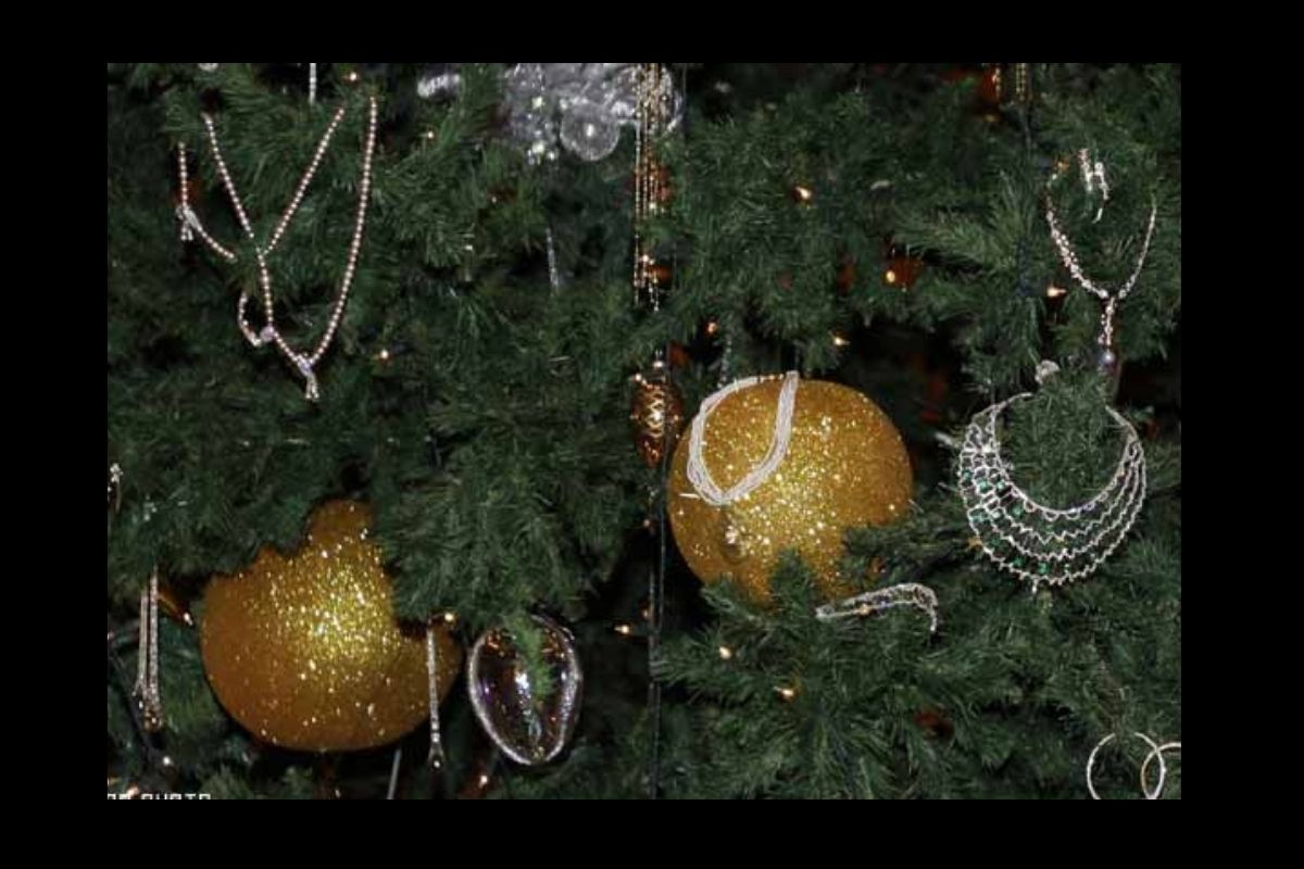 Why Do Christmas Trees Stay Green in Snow? Ask Scientists, They Know