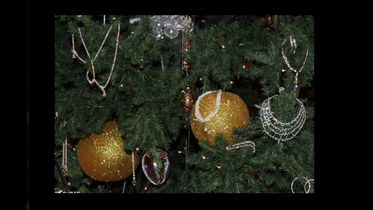 Why Do Christmas Trees Stay Green in Snow? Ask Scientists, They Know