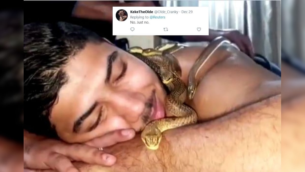 Egyptian Spa is Offering a Snake Massage for Relaxation. Twitter Says 'No Thanks'