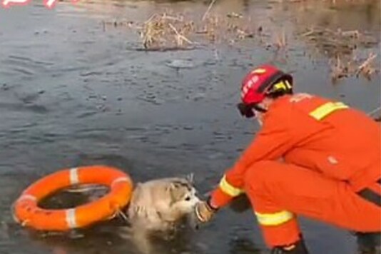Snapshot from 3W Daily video on YouTube. 