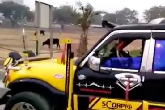 Dancing Scorpio | Image credit: Twitter