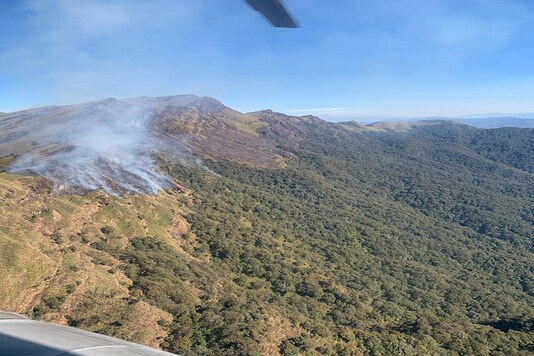 Image of fire at Dzukou valley in Nagaland. (IANS)