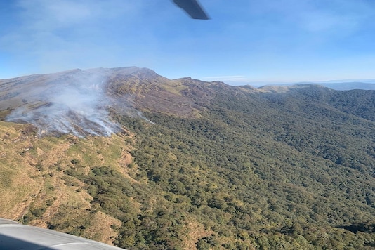 Image of fire at Dzukou valley in Nagaland. (IANS) Image of fire at Dzukou valley in Nagaland. (IANS)