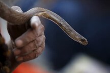 This Woman in Raipur Rescues Snakes, Fights Venom of Sexism with Deadpan Humour