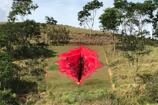 108-foot Vagina art 'Diva' triggers controversy in Brazil. 108-foot Vagina art 'Diva' triggers controversy in Brazil.