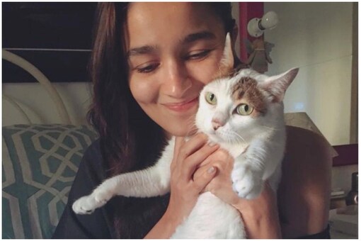 Alia Bhatt with a cat. Image for representation purposes only.